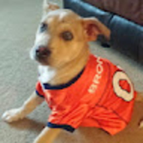 Meet your Posher, Juliana - Picture 1 of 1